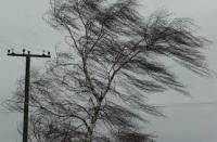 Непогода наломала немало дров на западной Украине